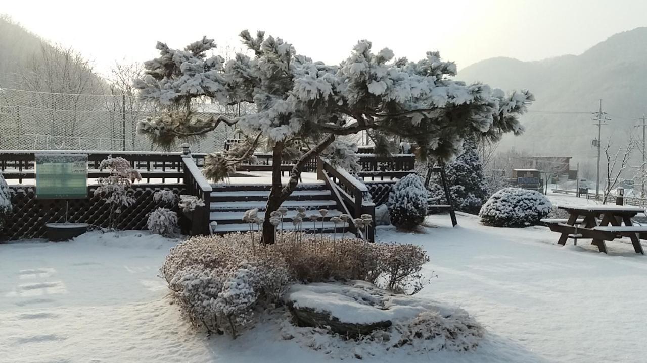 Forest Of Color Pension Хончхон Экстерьер фото